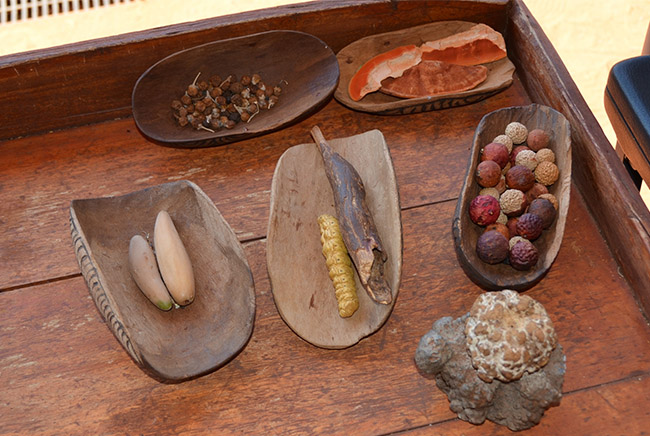 Types of indigenous spices and berries